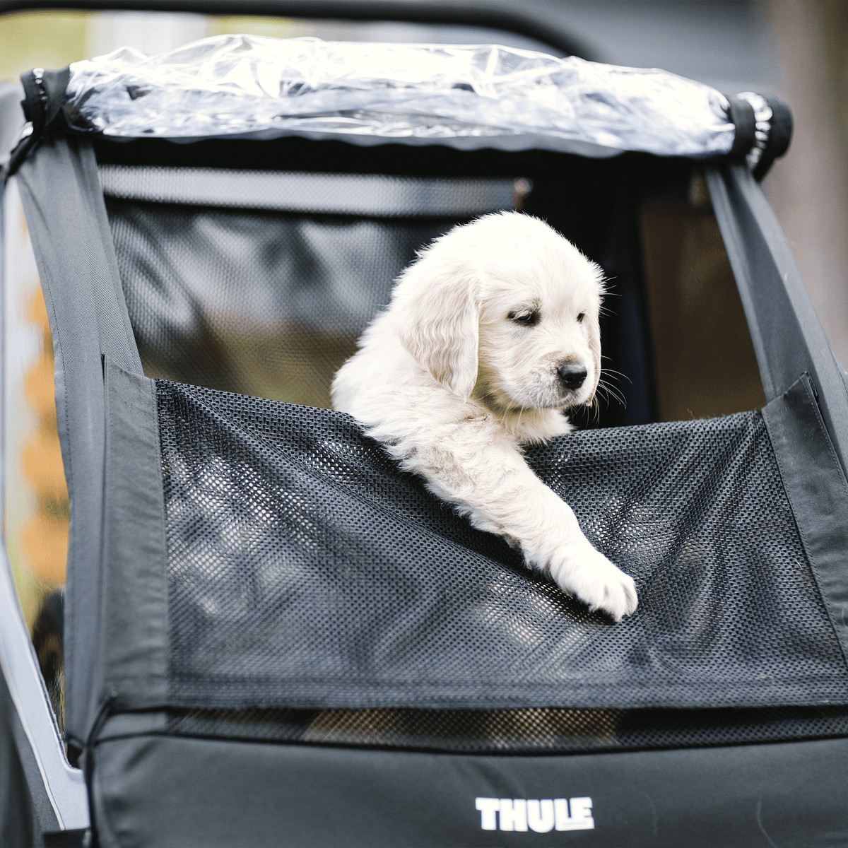 Thule Courier AEGEAN BLUE